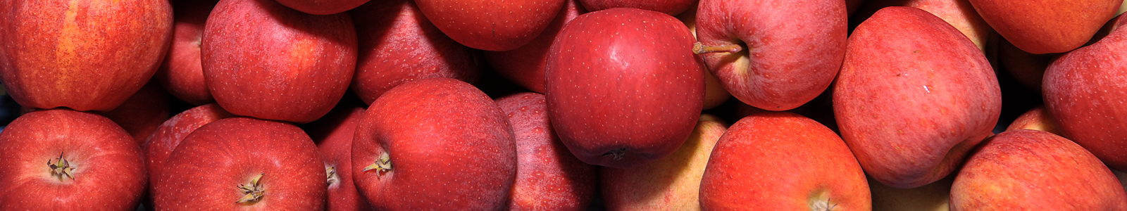 Rote Äpfel © Dienstleistungszentren Ländlicher Raum